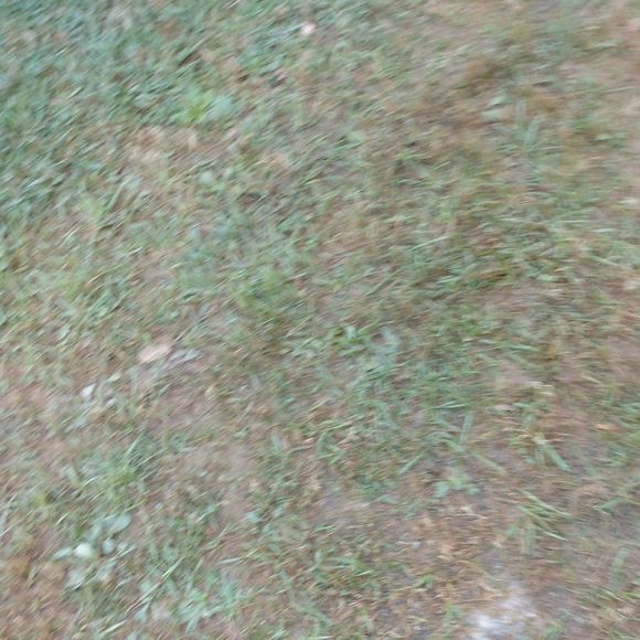 Meet your Posher, Craig - Picture 1 of 1